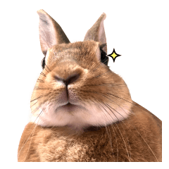 Bisuko of rabbits