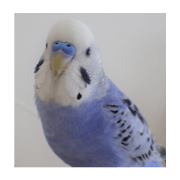 Magical Words & Everyday Conversation Magical Words & Everyday Conversation