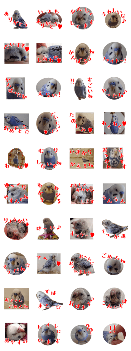 Magical Words & Everyday Conversation Magical Words & Everyday Conversation