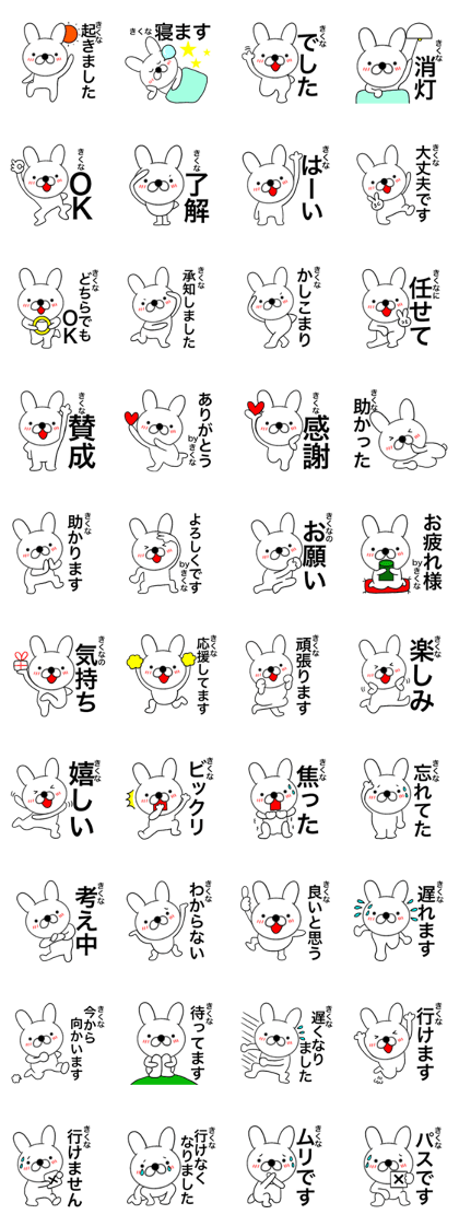 Name rabbit Kikuna Name rabbit Kikuna