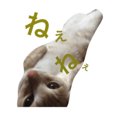 rinnsan