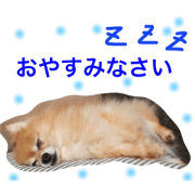 ponchanstamp ponchanstamp