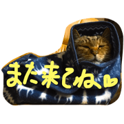 nekonoLight nekonoLight