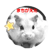 shiro_20210612222516