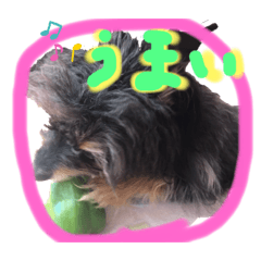 arisa_20210612234613