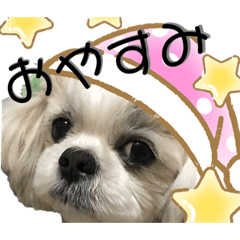 Ayumi_20210613030608