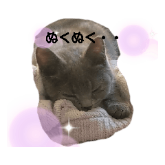 Cindy_20210613063506