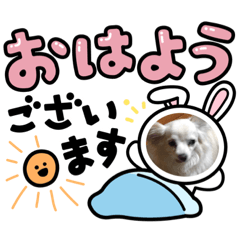 sayuri_20210613071442