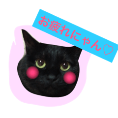 mike.miyu