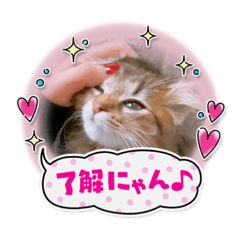 kaori_20210612193412