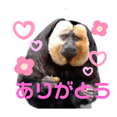 arisa_20210612200337