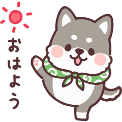 fluffy fat Shiba anime black and tan