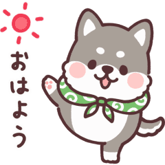 動く ころころ柴犬 黒柴くん Line スタンプ Line Store 動く ころころ柴犬 黒柴くん Line スタンプ Line Store
