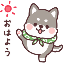 fluffy fat Shiba anime black and tan
