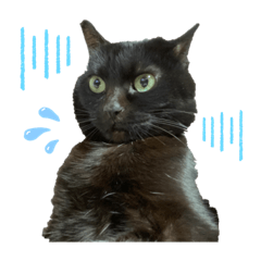 yukari_20210612190510