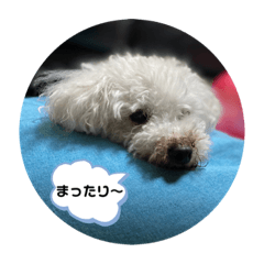 yuka_20210612193841