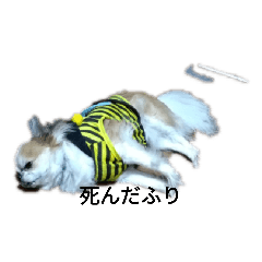 takaoman_20210612201048