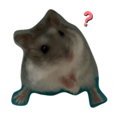 滷味鼠鼠