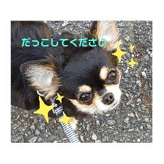 tommy_20210613111315