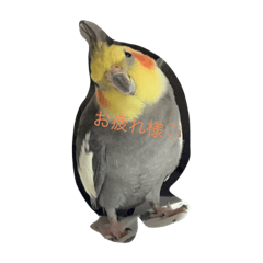 ayumi_20210613125516