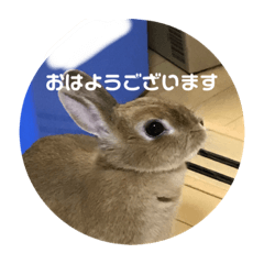 Nagisa_20210613105458