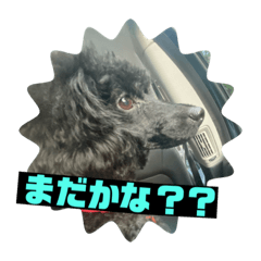 kanae_20210612220836