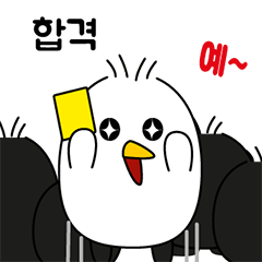 Baby swan's overseas life experience