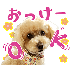 Momo chan Sticker 2106