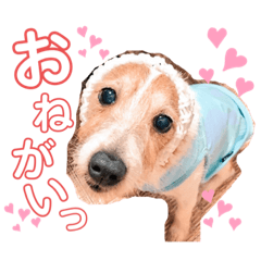yuka_20210613120431