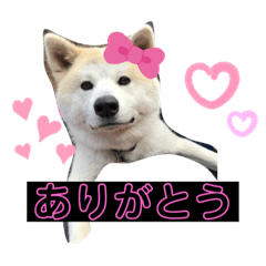 yukina_20210613135419