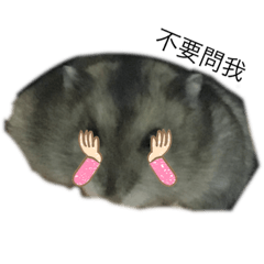 日常用語 大字篇