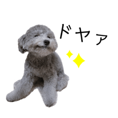 miki_20210613163650