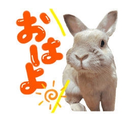 ニジイロうさぎとモノクロうさぎ Lineクリエイターズスタンプ Stamplist