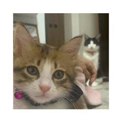 nanami_20210613190240