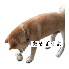 riho_20210613165524