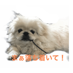 momoko_20210613205840