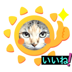 yun_20210613204944