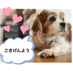 Miki_20210613235200