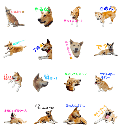 ponpon_PONTA