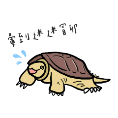 暈船ㄉ鱷龜