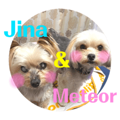 Jina & Meteor 4 ver.2