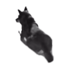 污肥肥肥的肥仔