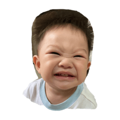 霆仔