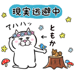 Cat of a bad face daily life-TOMOKA ver-