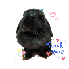 cocoa_20210613202221