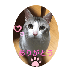 レンの日常会話　1