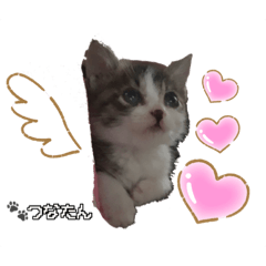 RISA_20210614201402