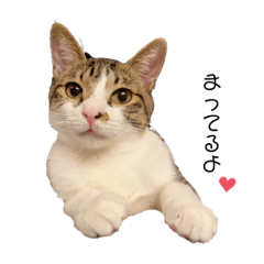 saori_20210613174104