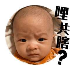 賴賴的搞怪表情包
