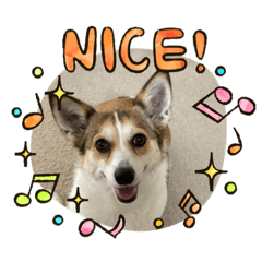 junko_20210614205355